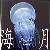 海月　