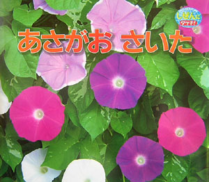 あさがおさいた　　（しぜんにタッチ！）
