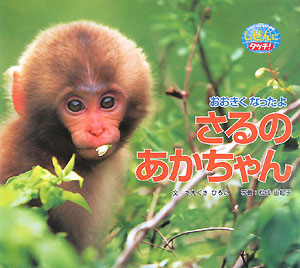 おおきくなったよさるのあかちゃん　　（しぜんにタッチ！）