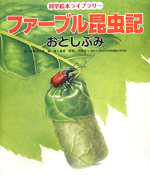 ファーブル昆虫記おとしぶみ　　（科学絵本ライブラリー）