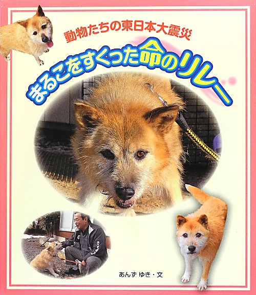 まるこをすくった命のリレー　動物たちの東日本大震災　
