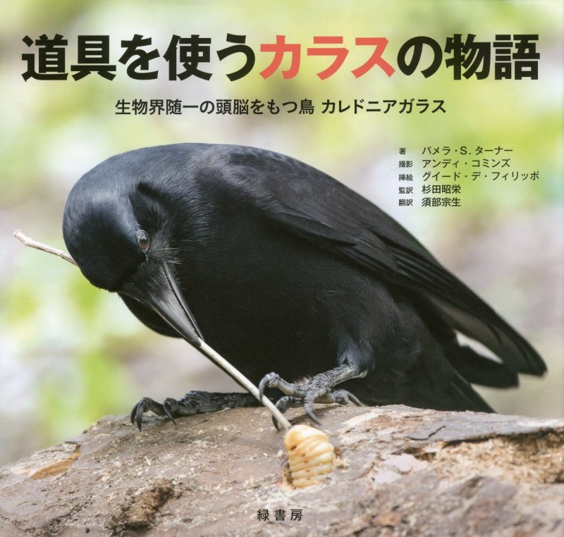 道具を使うカラスの物語　生物界随一の頭脳をもつ鳥カレドニアガラス　