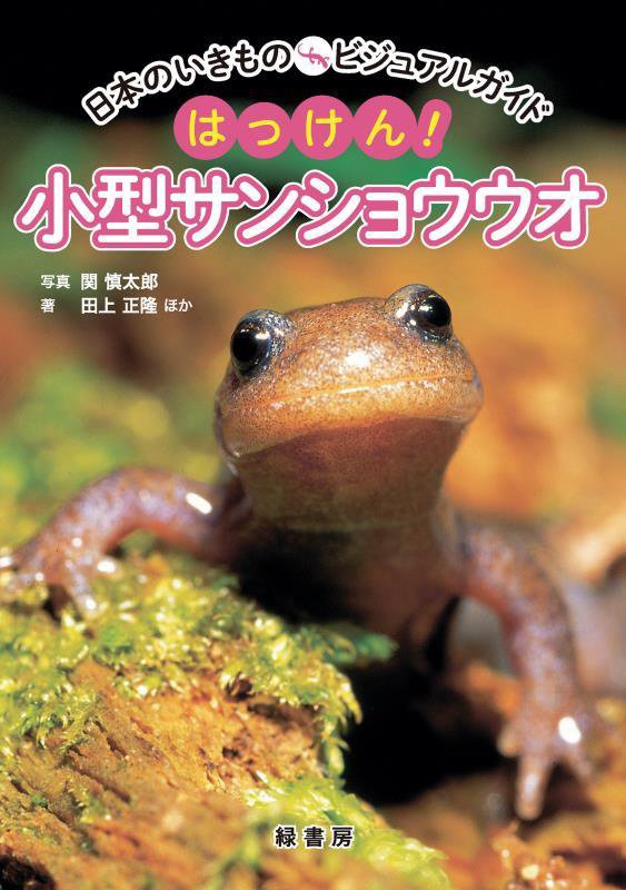 はっけん！小型サンショウウオ　　（日本のいきものビジュアルガイド）