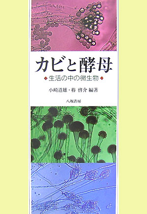 カビと酵母　新装版　生活の中の微生物　