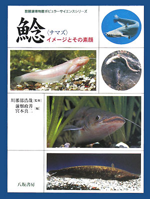 鯰　イメージとその素顔　　（琵琶湖博物館ポピュラーサイエンスシリーズ）