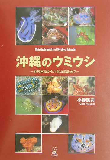 沖縄のウミウシ　沖縄本島から八重山諸島まで　