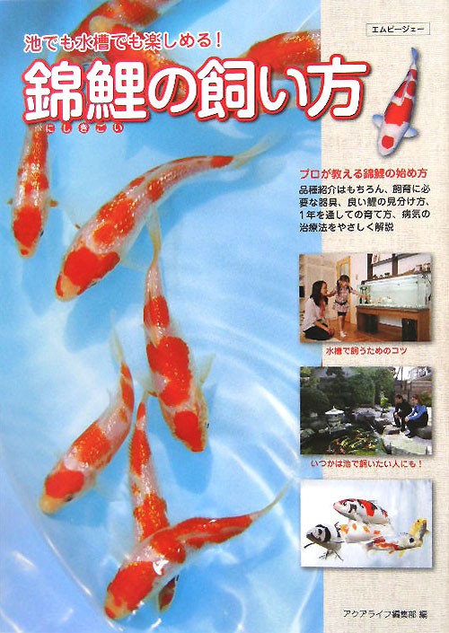 錦鯉の飼い方　池でも水槽でも楽しめる！　　（アクアライフの本）