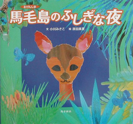 馬毛島のふしぎな夜　