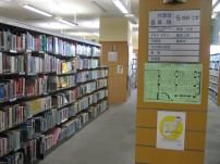 foreign language books