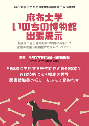 麻布大学いのちの博物館出張展示（ポスター）