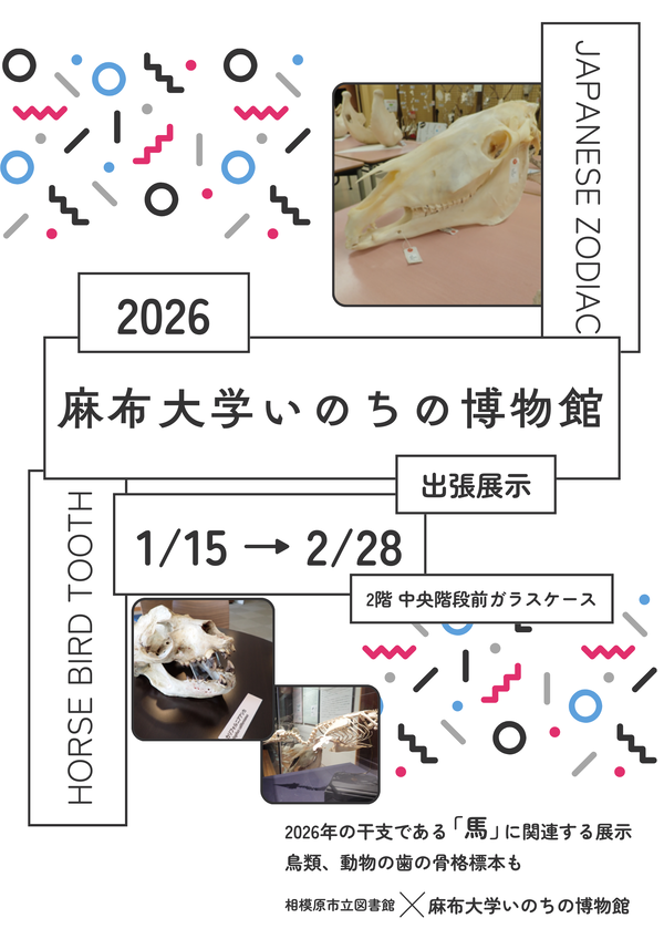 いのちの博物館ポスター